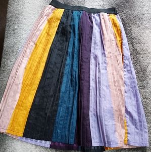 Pleated multi colored skirt